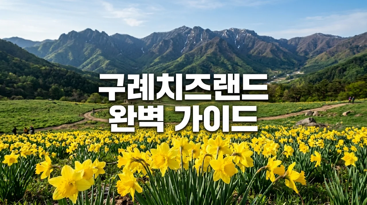 구례치즈랜드 수선화 개화시기부터 애견동반 꿀팁까지 완벽 정리