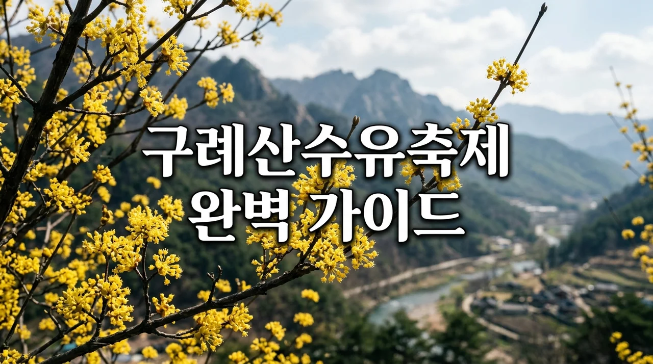 2026 구례산수유축제 완벽 가이드: 주차장, 명당, 개화 현황 총정리