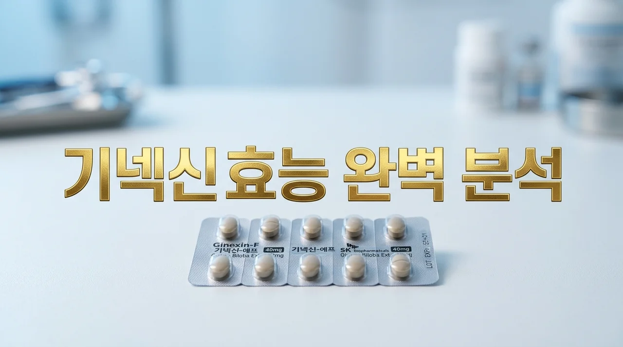 기넥신효능 및 복용법 완벽 정리: 혈행 개선의 핵심