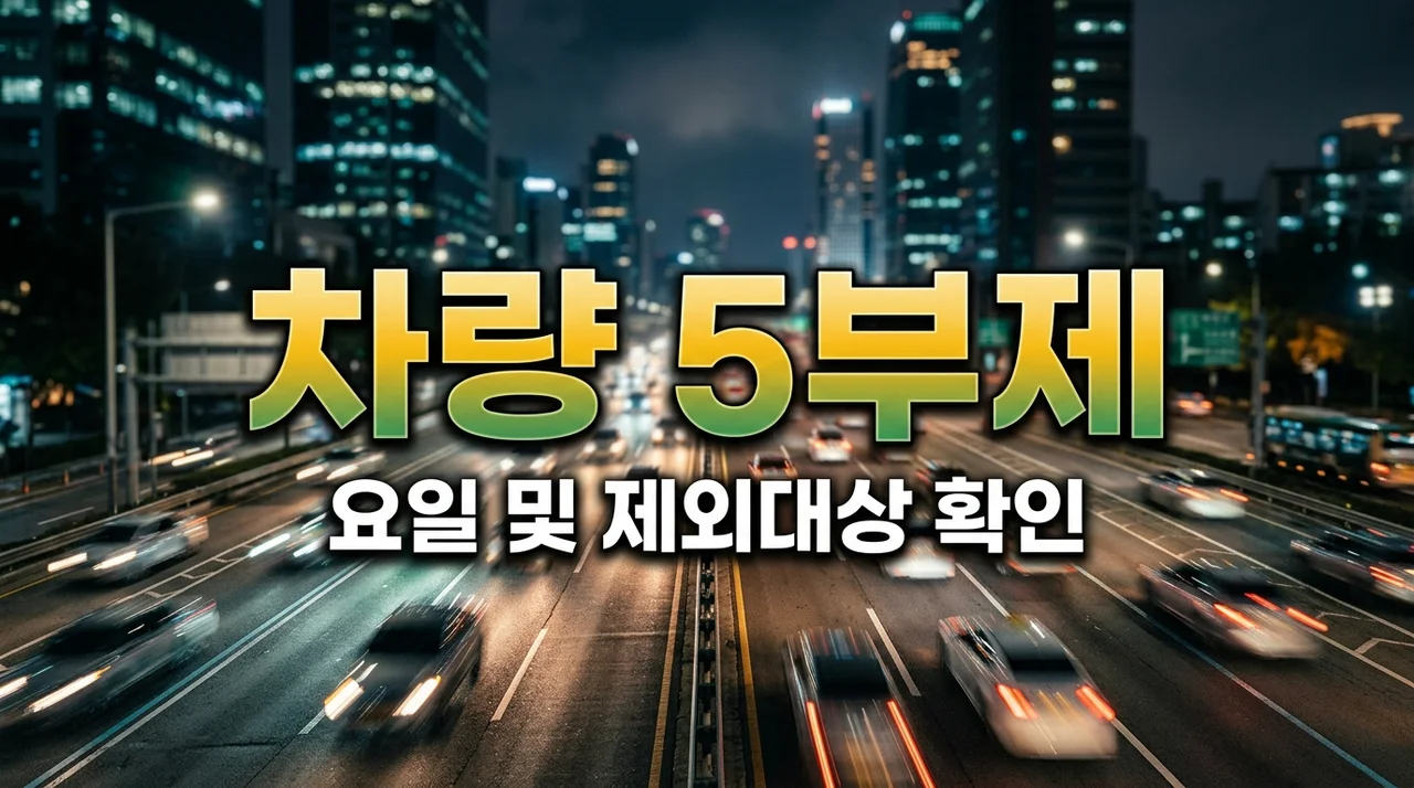 차량 5부제 요일 확인법! 내 차 번호 끝자리와 제외 대상 완벽 정리