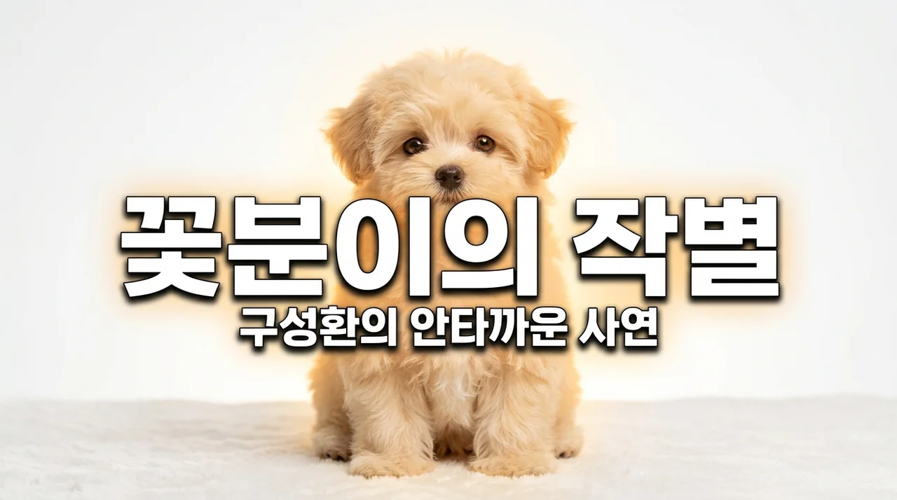 구성환 꽃분이 죽은 이유와 안타까운 사연, 펫로스 증후군 극복 방법은?