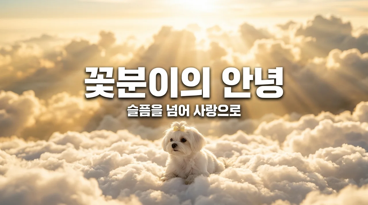 구성환 꽃분이 죽은 이유, 안타까운 이별 사연과 펫로스 극복 방법