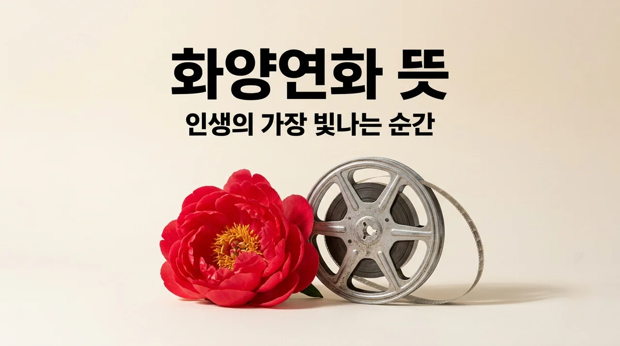 화양연화 뜻, 인생의 가장 아름다운 순간을 찾는 법 (한자 유래부터 영화, BTS까지)