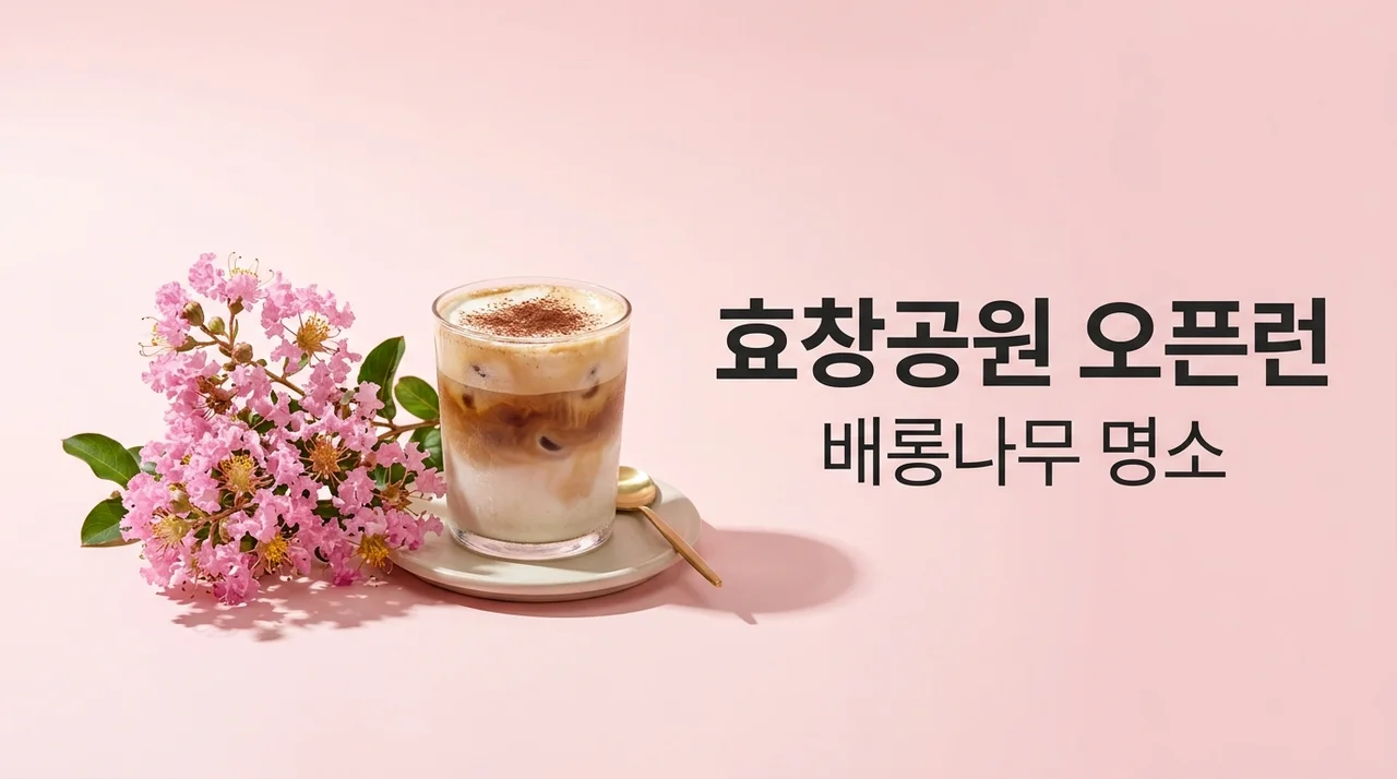 효창공원 카페 오픈런 필수! 배롱나무 명소 코스와 꿀팁 총정리