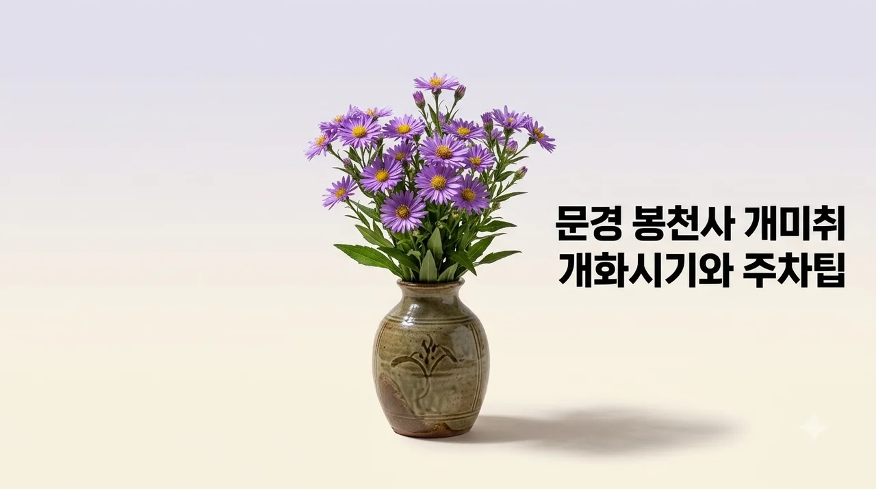문경 봉천사 개미취 개화시기 주차 입장료 완벽 가이드